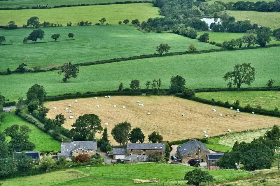 Farmland landscape
