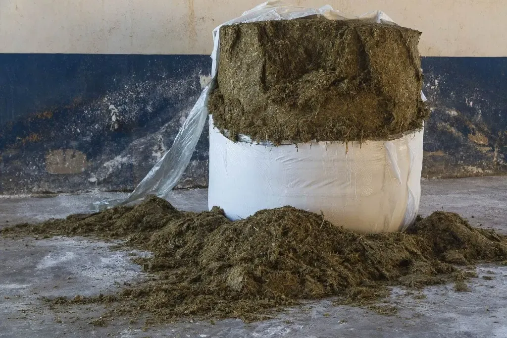 Silage bale in barn